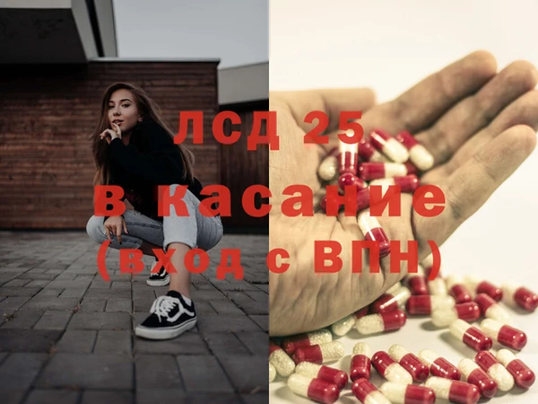 spice Богданович